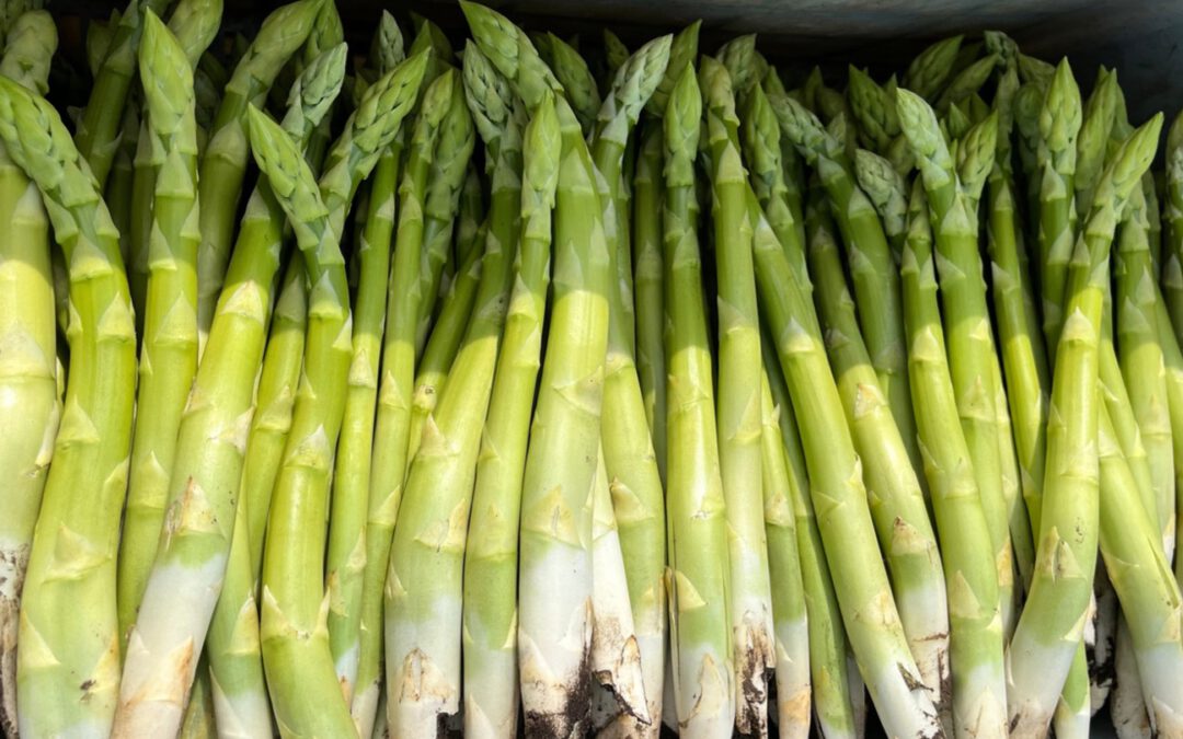 Spargel