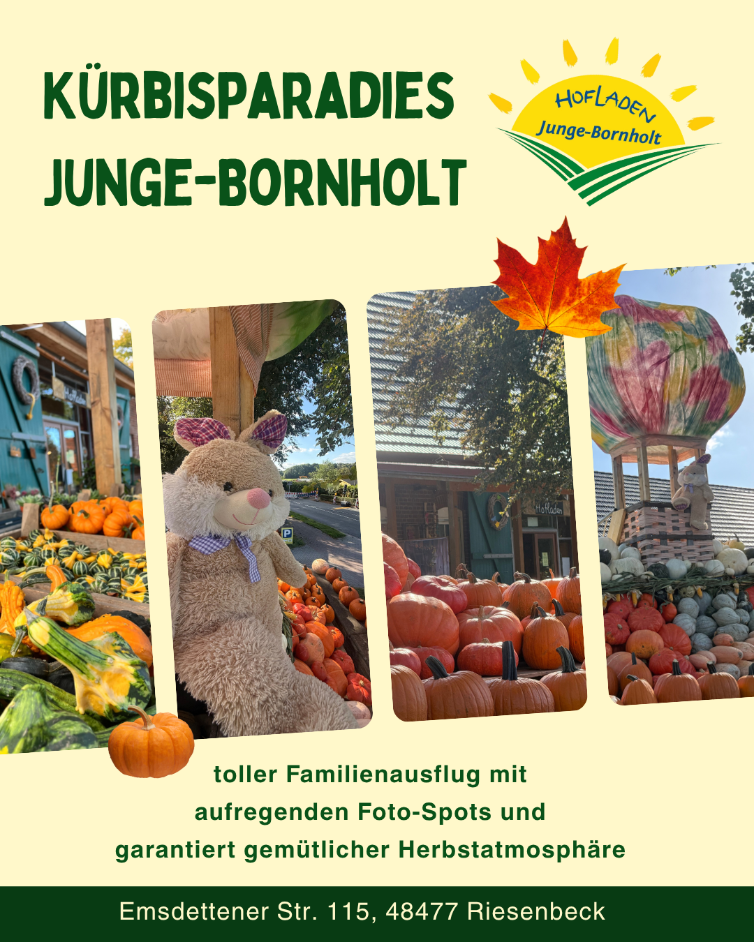 Gemütlich herbstliche Kürbiszeit